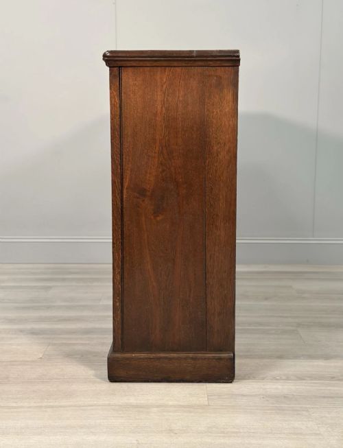ANTIQUE OAK SCHOOL CUPBOARD C1900 - ADDITIONAL PHOTO 7