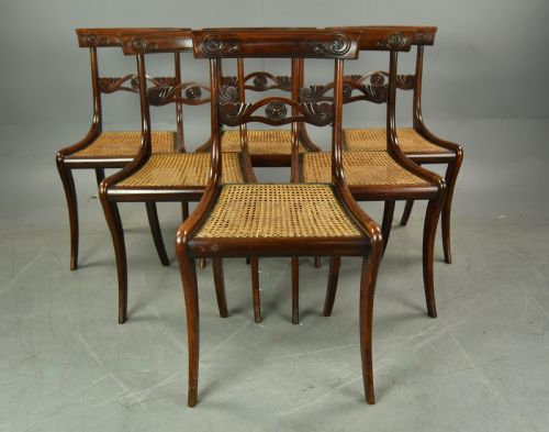 fig 1. set of six Regency rosewood dining chairs