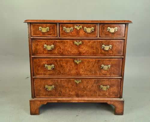 Georgian Burr Walnut Chest of Drawers