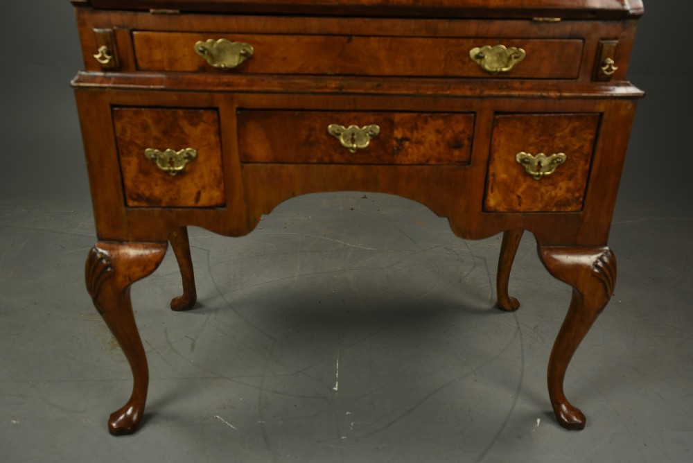 small Georgian burr walnut bureau  View VI