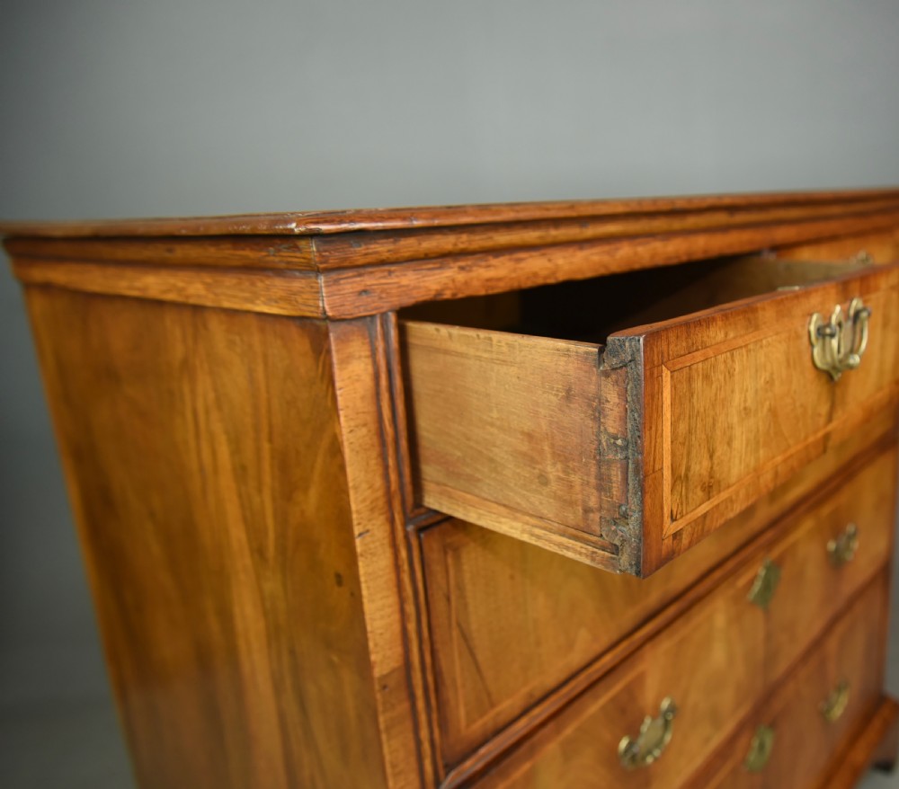Early Georgian walnut chest of drawers  View VI