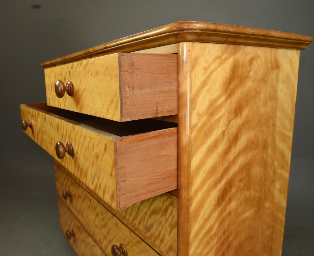 Large Victorian satin birch chest of drawers Heal & son London  View V