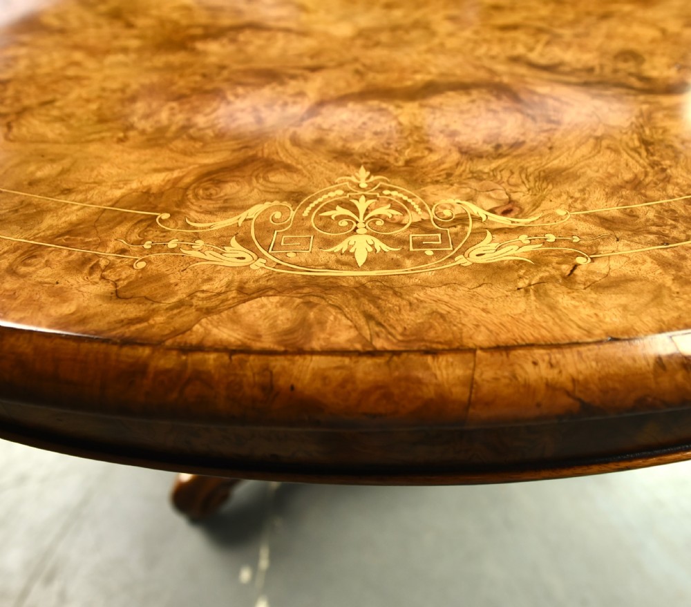 Antique round burr  walnut dining table  View VI