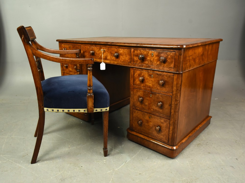 Victorian burr walnut pedestal desk  View IV