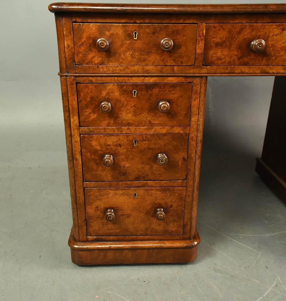 Victorian burr walnut pedestal desk  View V