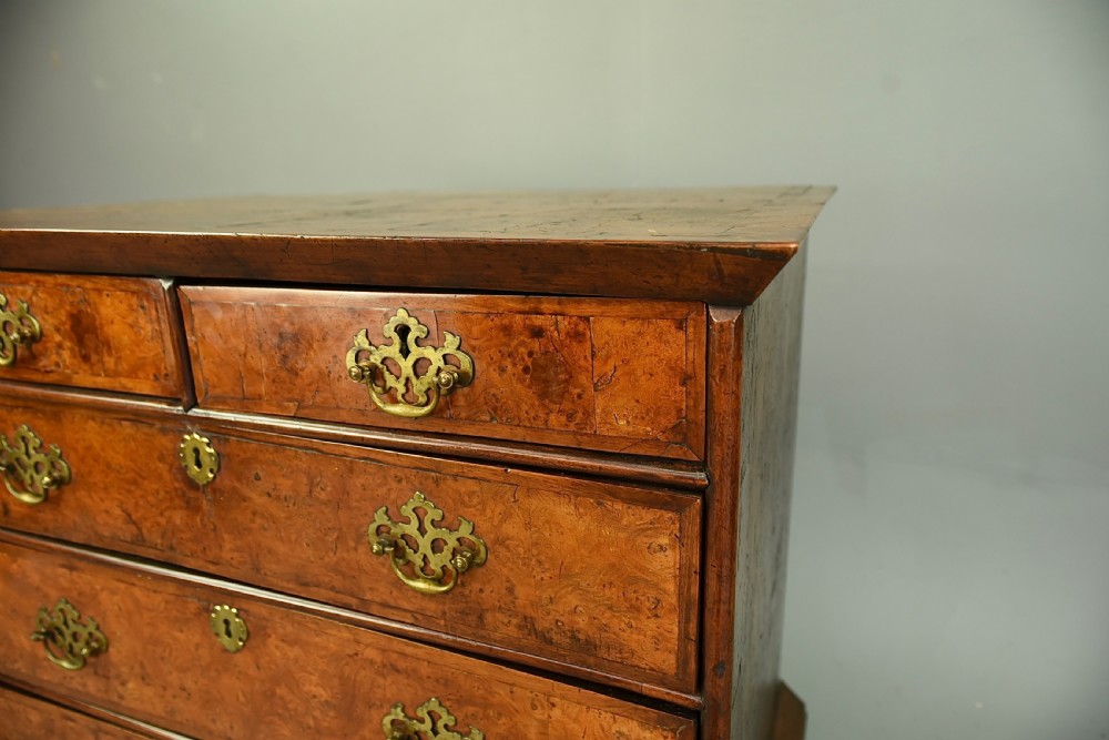 18th century burr walnut chest of drawers  View VI