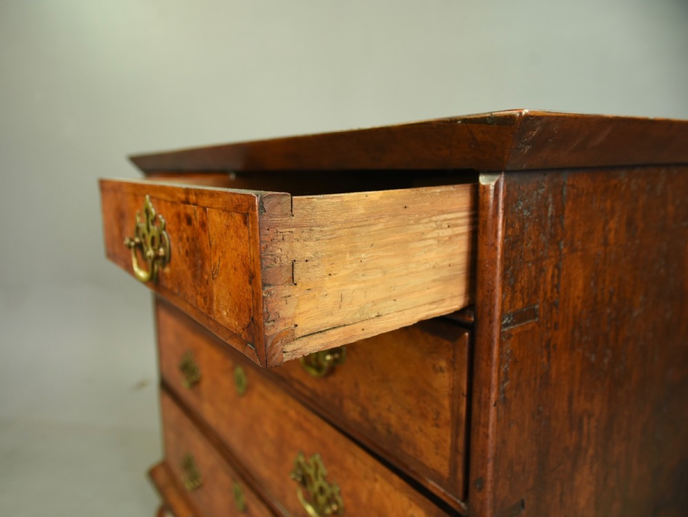 18th century burr walnut chest of drawers  View VIII