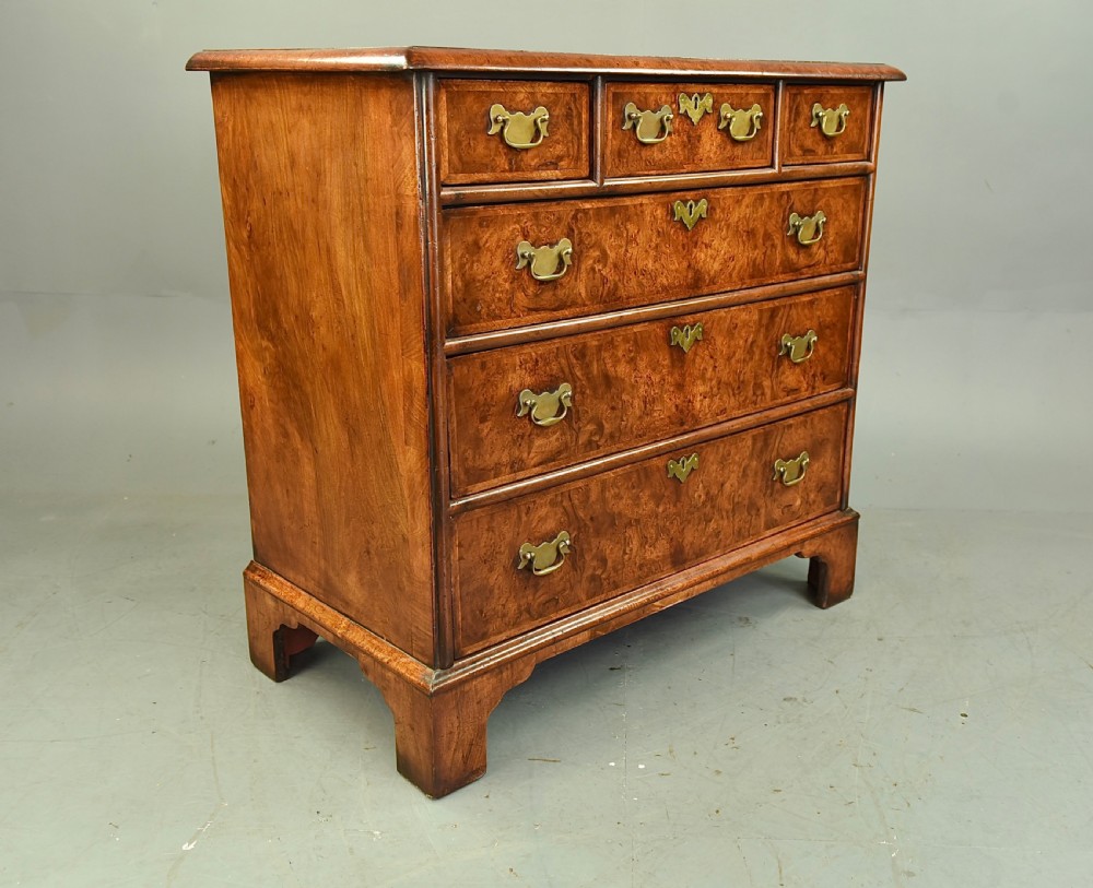 Georgian burr walnut chest of drawers  View II