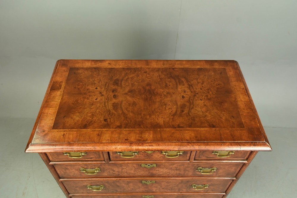 Georgian burr walnut chest of drawers  View VI