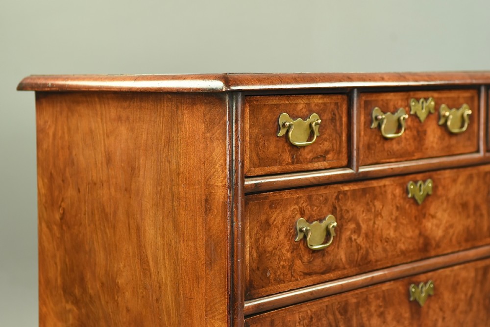 Georgian burr walnut chest of drawers  View VIII