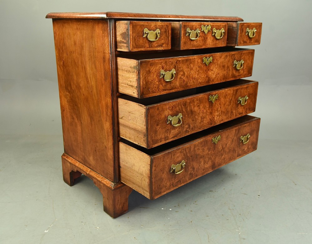 Georgian burr walnut chest of drawers  View IX
