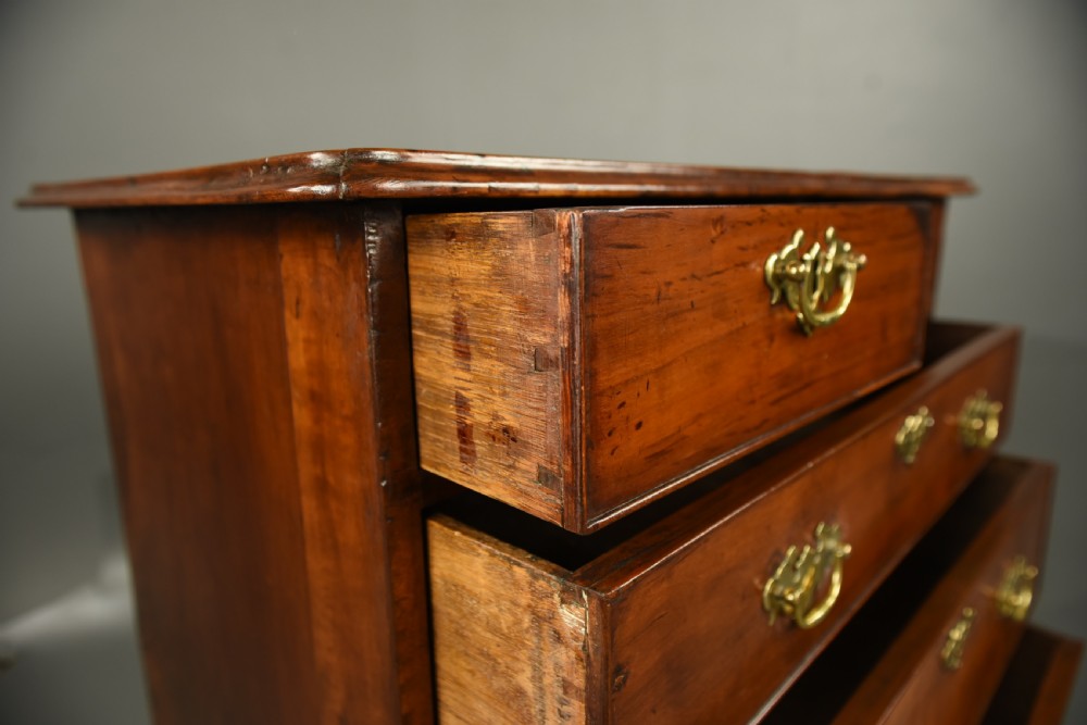 Georgian Fruitwood chest of drawers  View VII