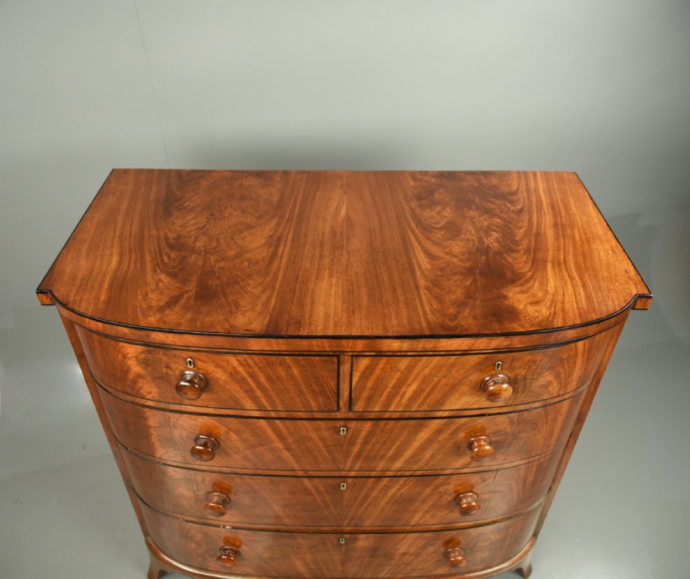 Large Regency mahogany bow front chest of drawers  View II