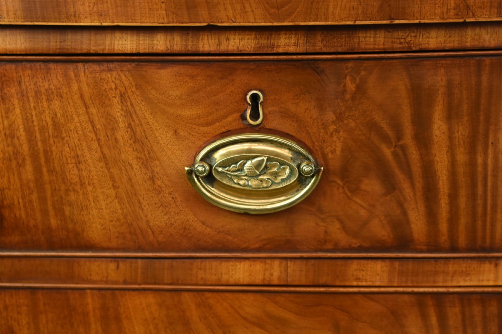 Large Regency mahogany bow front chest of drawers  View VII