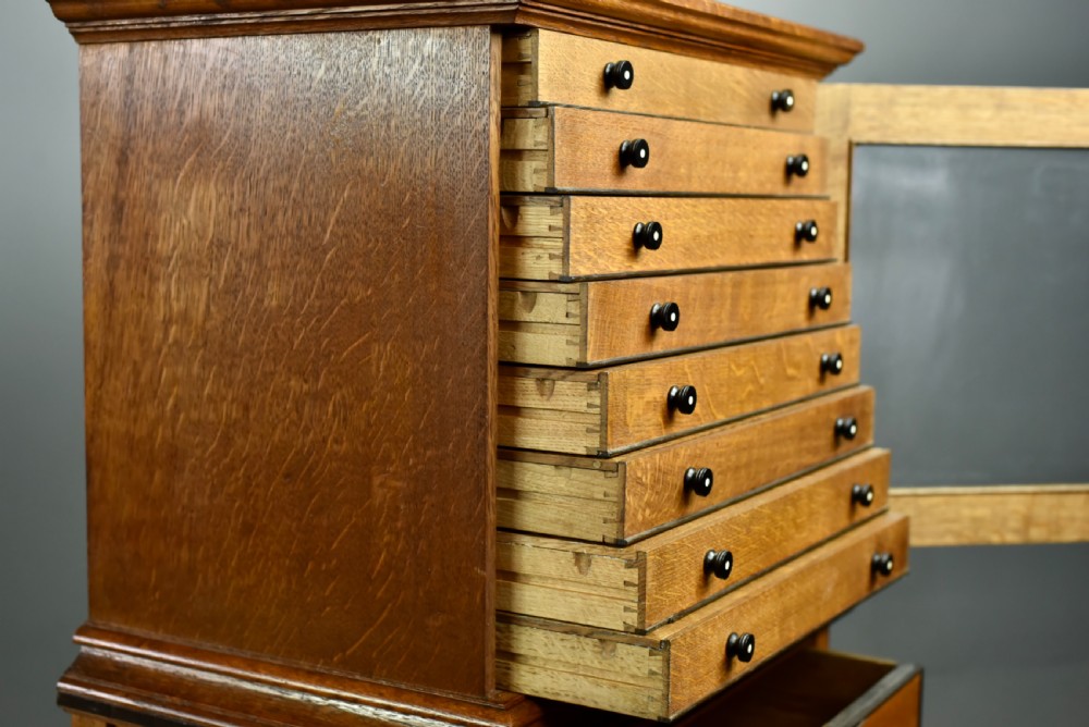 Oak collectors cabinet  View VI