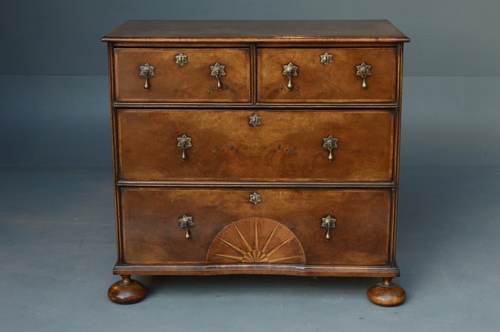 A 19th-century Queen Anne style walnut chest of drawers with two short over two long drawers, brass drop handles, turned bun feet, and a fan-shaped sunburst inlay.