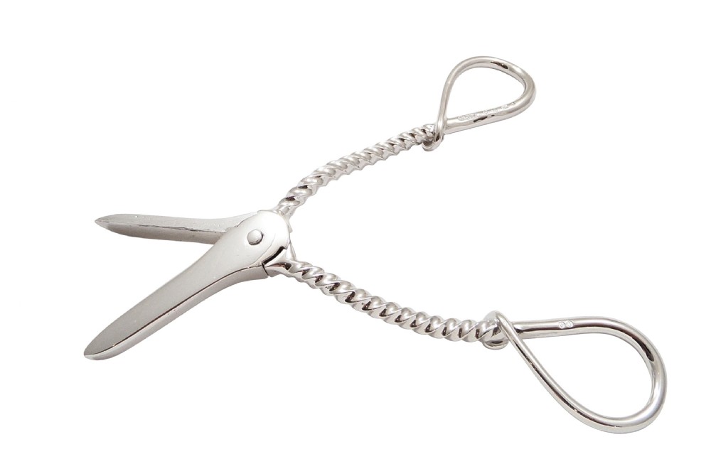 Pair of Antique Victorian Sterling Silver Grape Scissors / Shears in Case 1888 View III