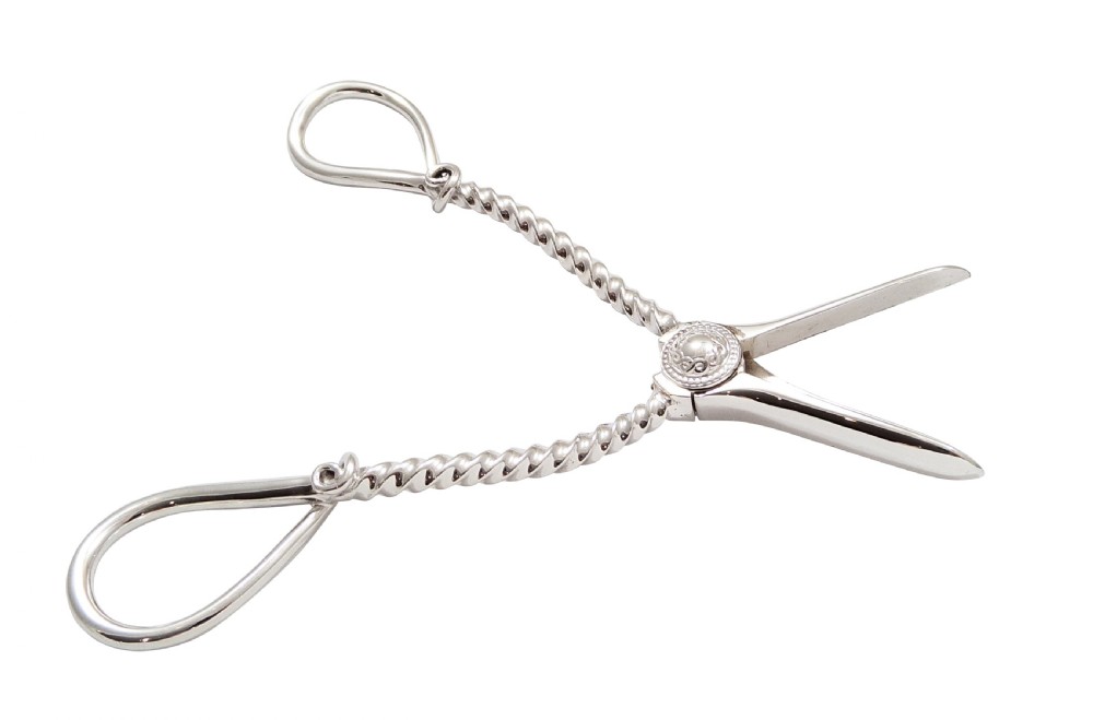Pair of Antique Victorian Sterling Silver Grape Scissors / Shears in Case 1888 View VII