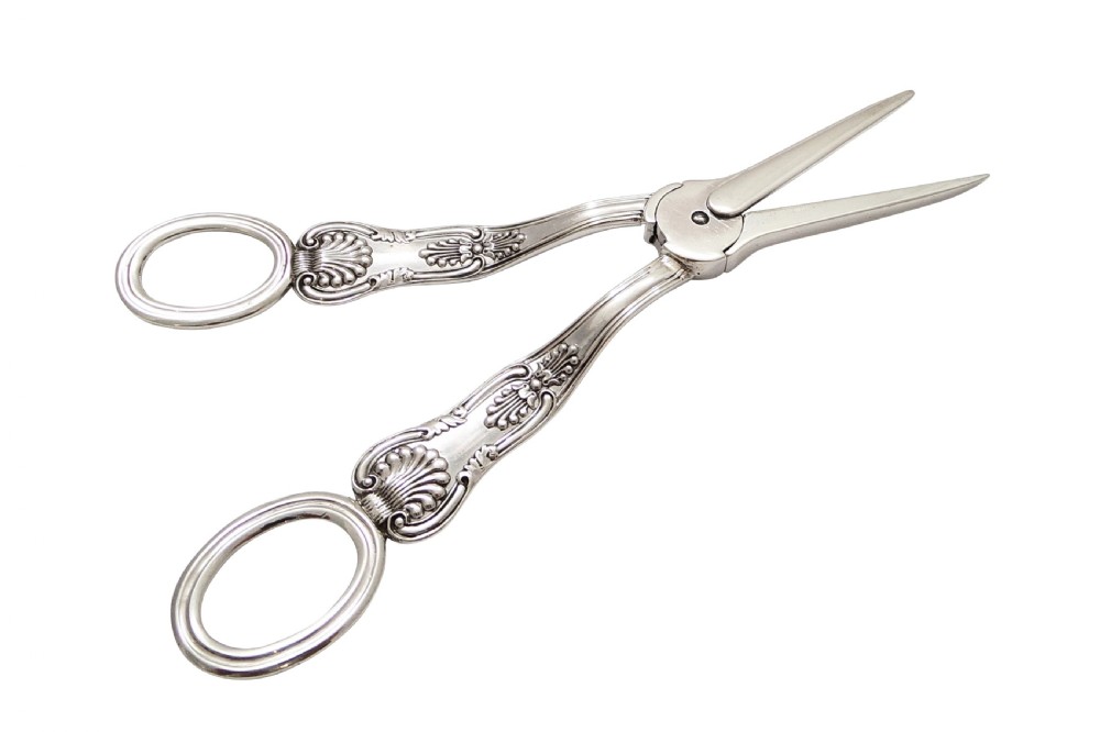 Pair of Antique Georgian Sterling Silver Grape Scissors / Shears in Case 1830 View IV
