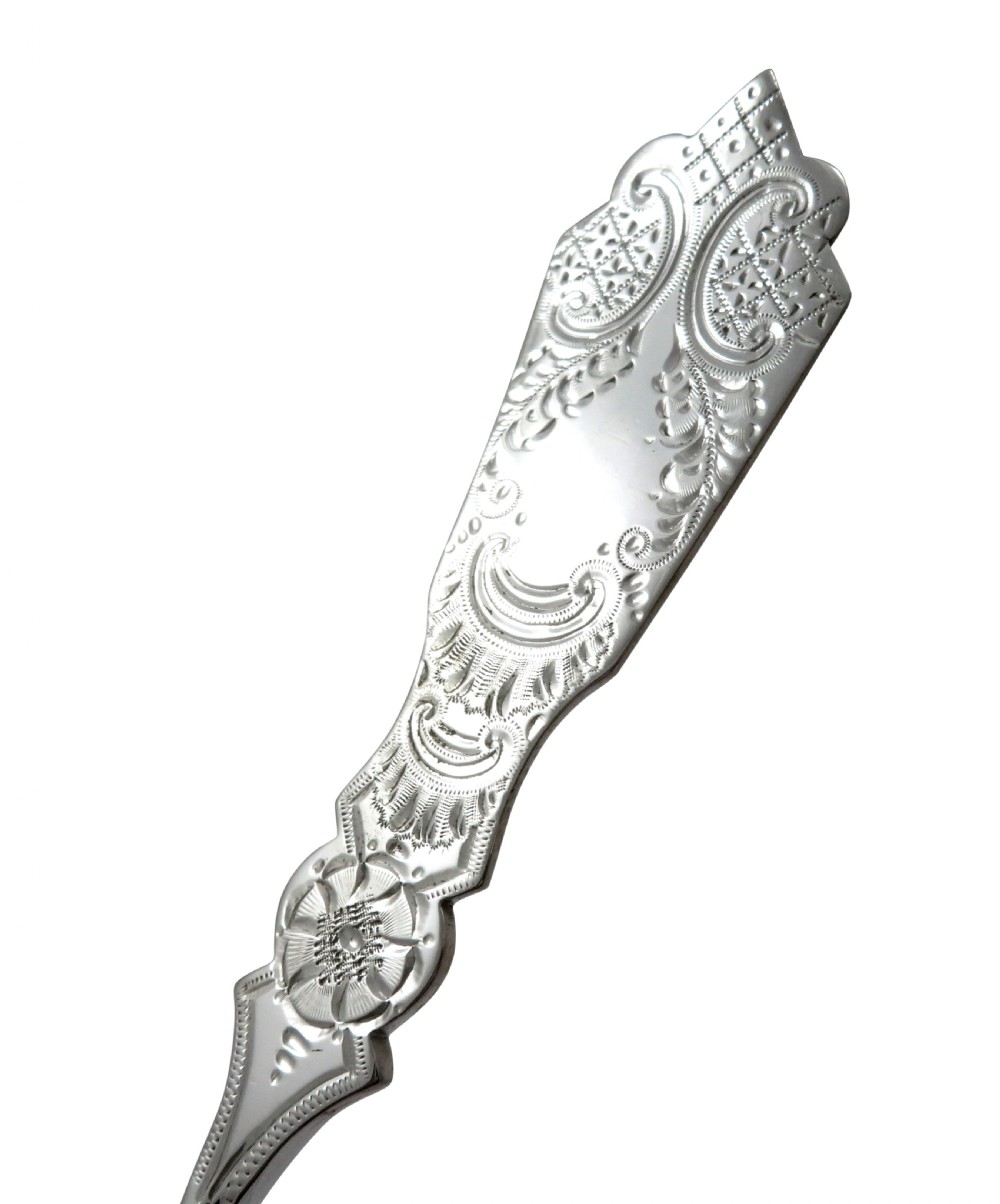 Pair of Antique Victorian Sterling Silver Berry Spoons in Case 1899 View IV