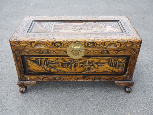Chinese Camphor Trunk