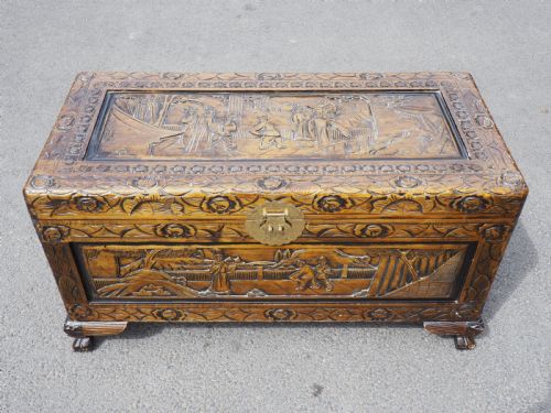 Chinese Camphor Trunk