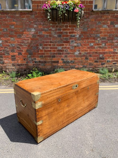 Nineteenth Century Camphor Trunk