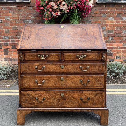 eighteenth century burr walnut bureau - CATEGORY: ANTIQUE BUREAU - DATED 18TH CENTURY