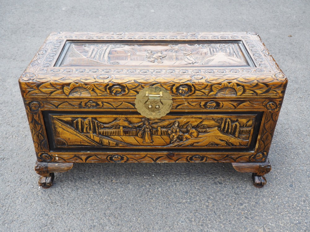 Chinese Camphor trunk