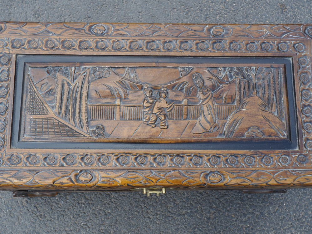 Chinese Camphor trunk View II