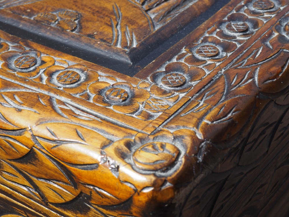 Chinese Camphor trunk View III