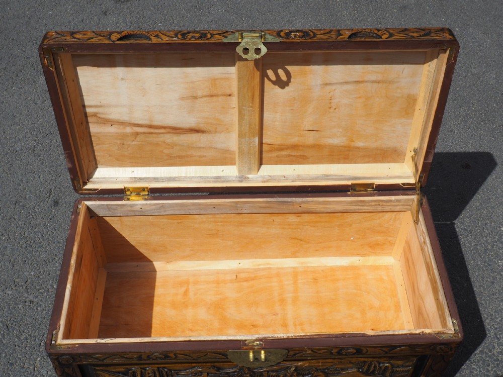 Chinese Camphor trunk View V