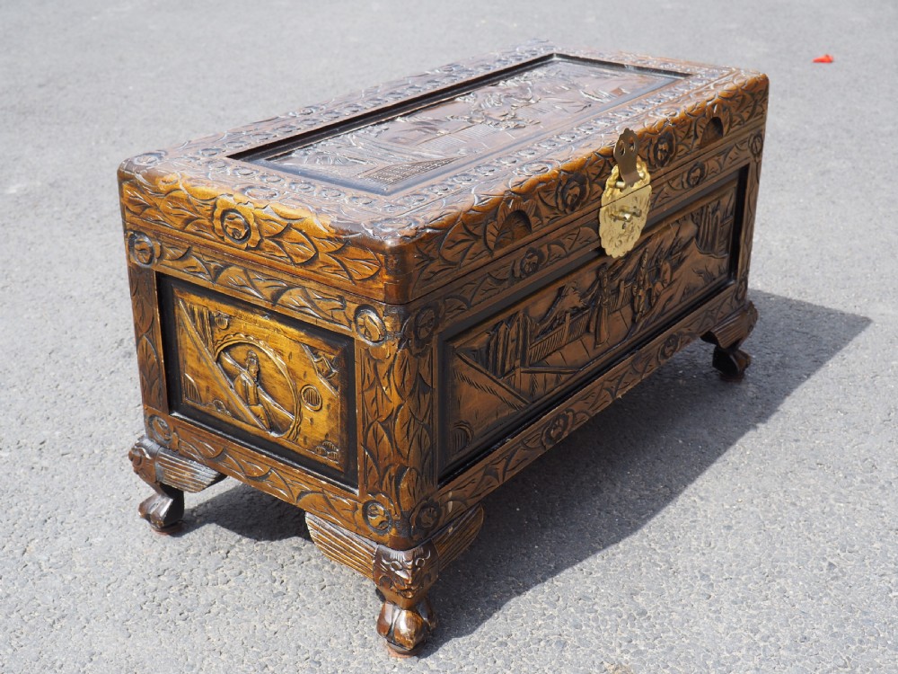 Chinese Camphor trunk View VI