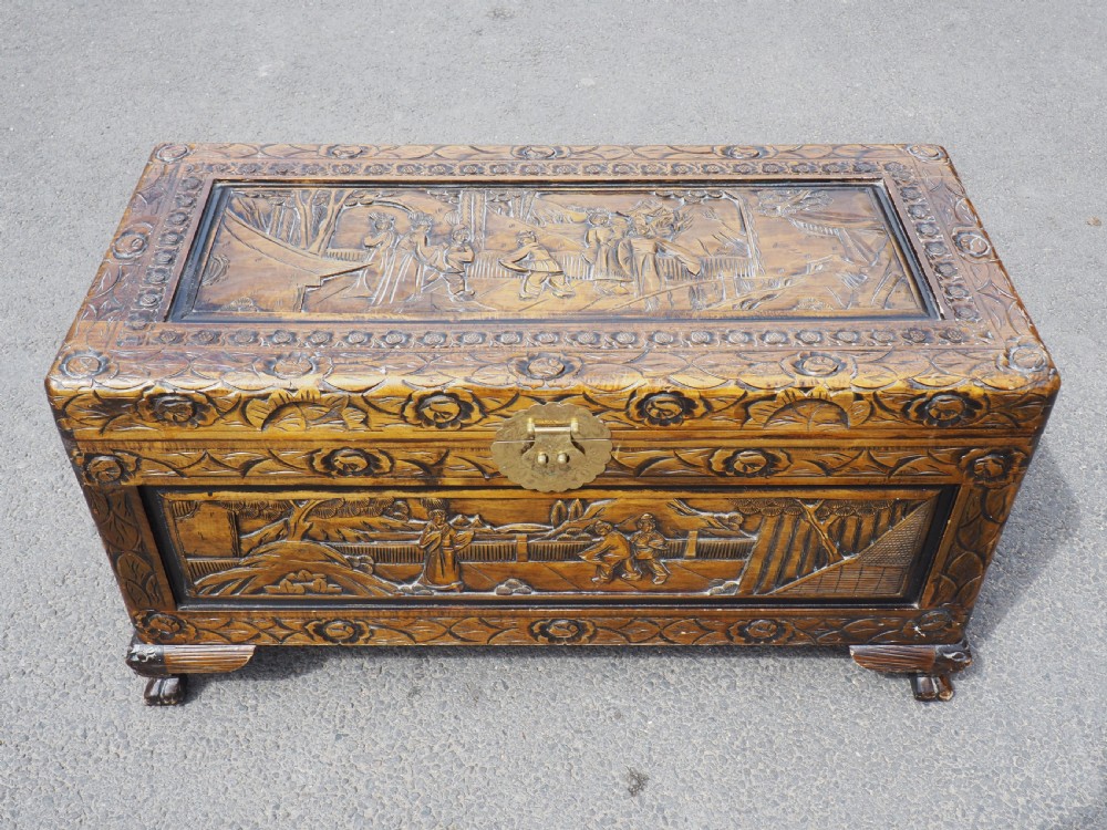 Chinese Camphor trunk