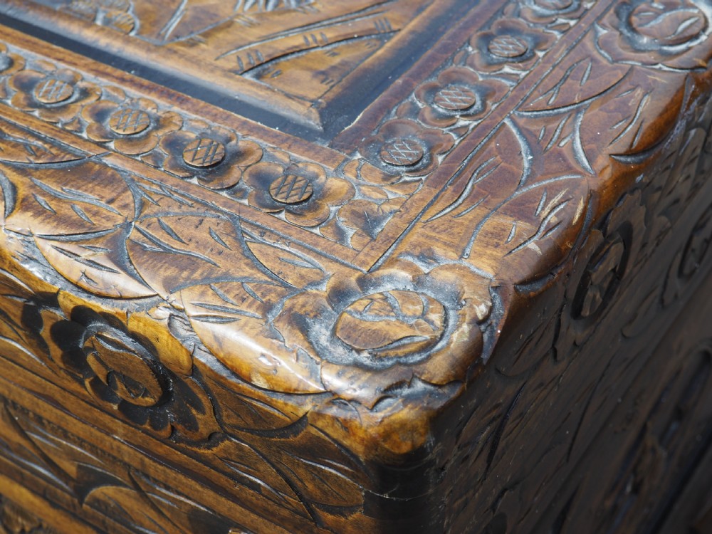 Chinese Camphor trunk View II