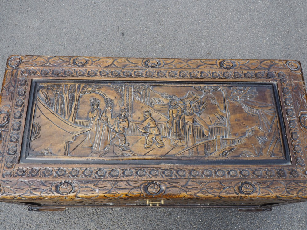 Chinese Camphor trunk View III