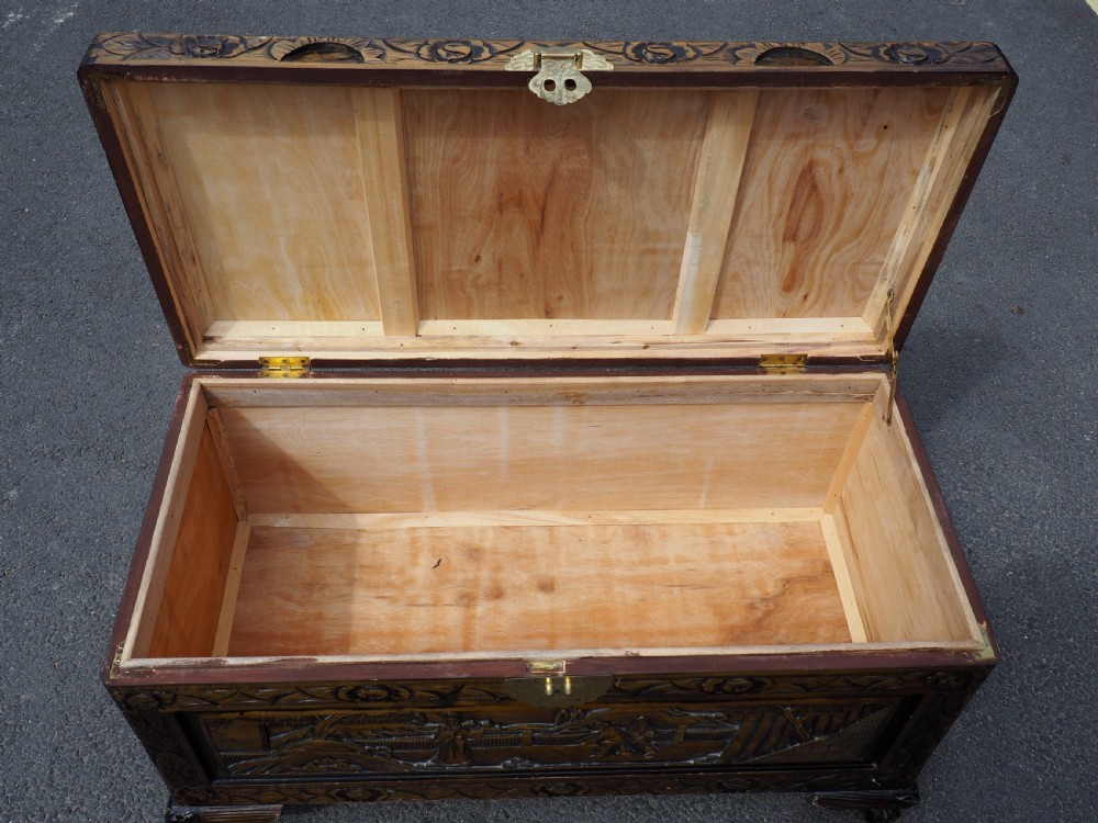 Chinese Camphor trunk View V