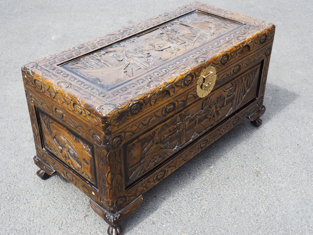Chinese Camphor trunk View VI