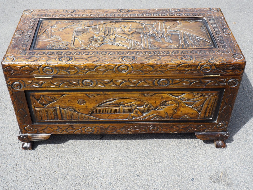 Chinese Camphor trunk View VII