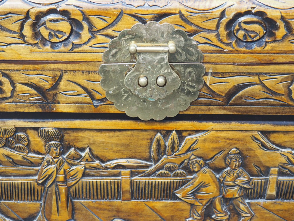 Chinese Camphor trunk View VIII