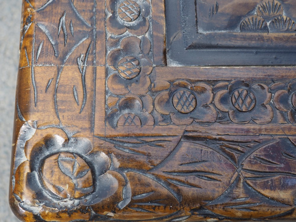 Chinese Camphor trunk View IX
