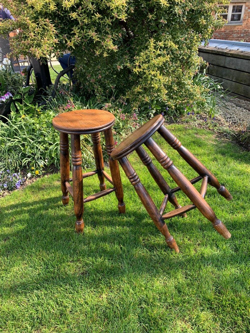 Pair of Elm stools