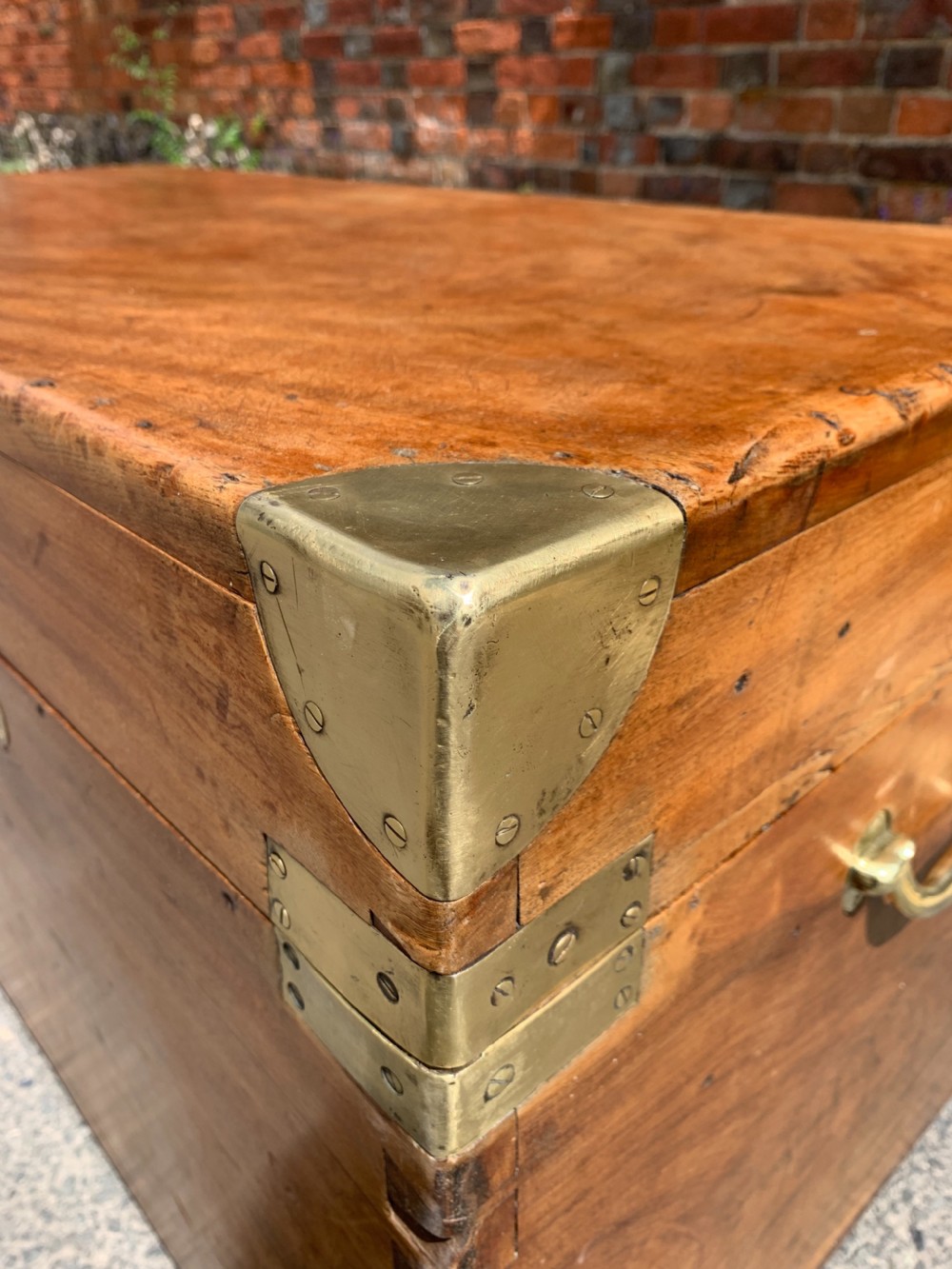 Nineteenth century Camphor trunk View II