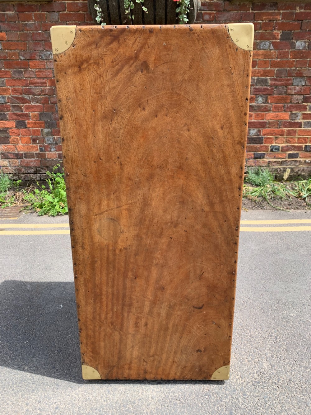 Nineteenth century Camphor trunk View VIII