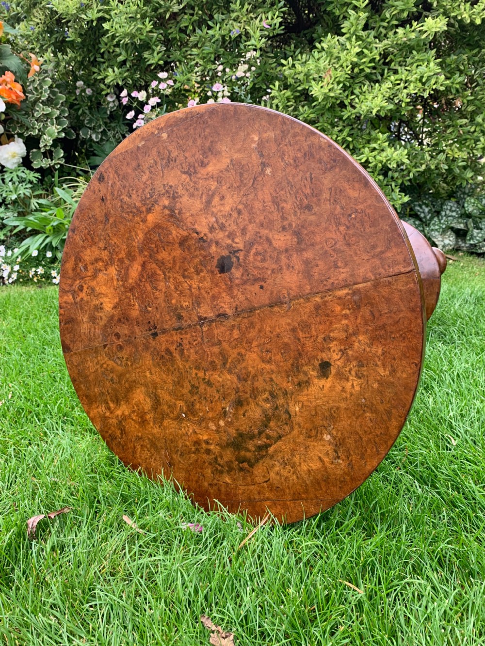 Nineteenth century burr walnut table View III