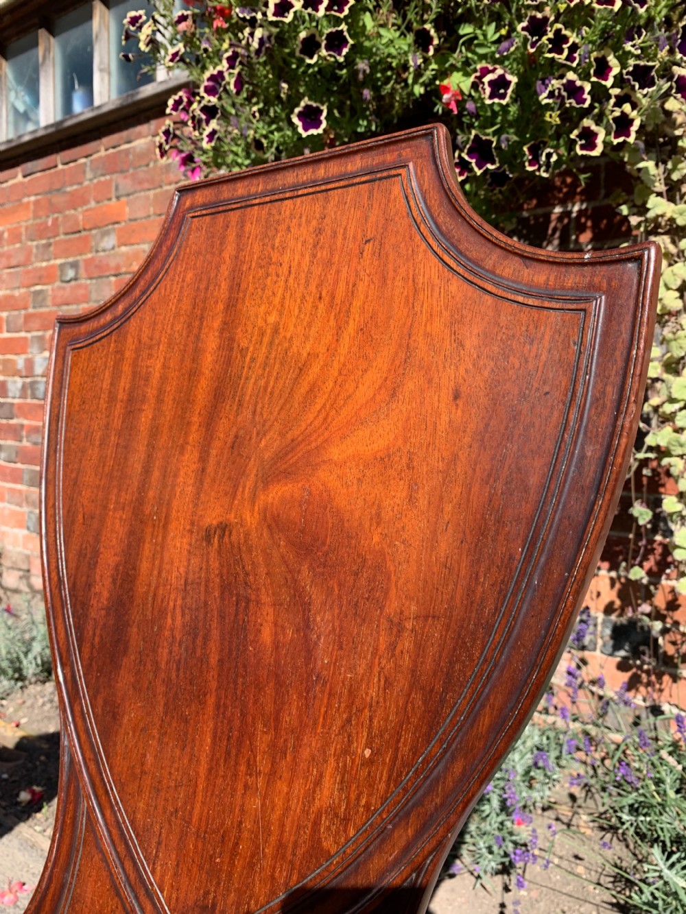 Pair of Mahogany hall chairs  View IV