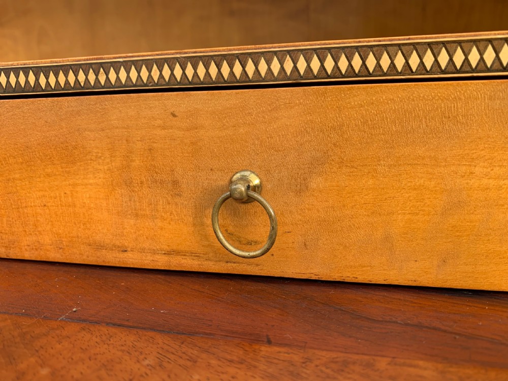 Continental Mahogany bookcase  View XV