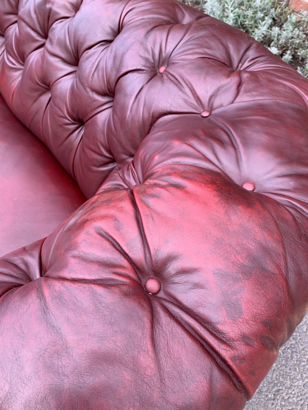 Victorian leather chesterfield  View II