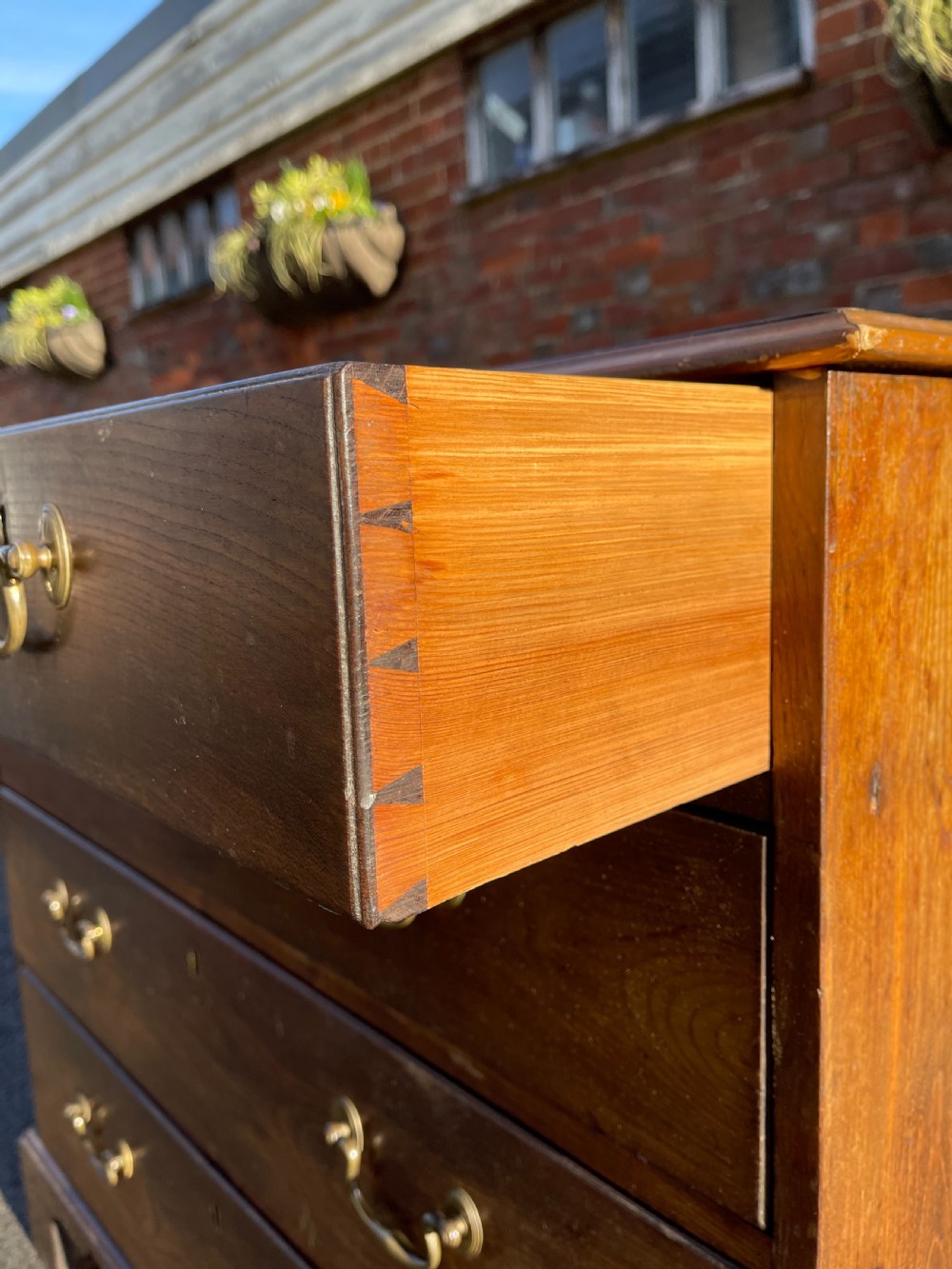 Georgian Elm chest of drawers  View IV