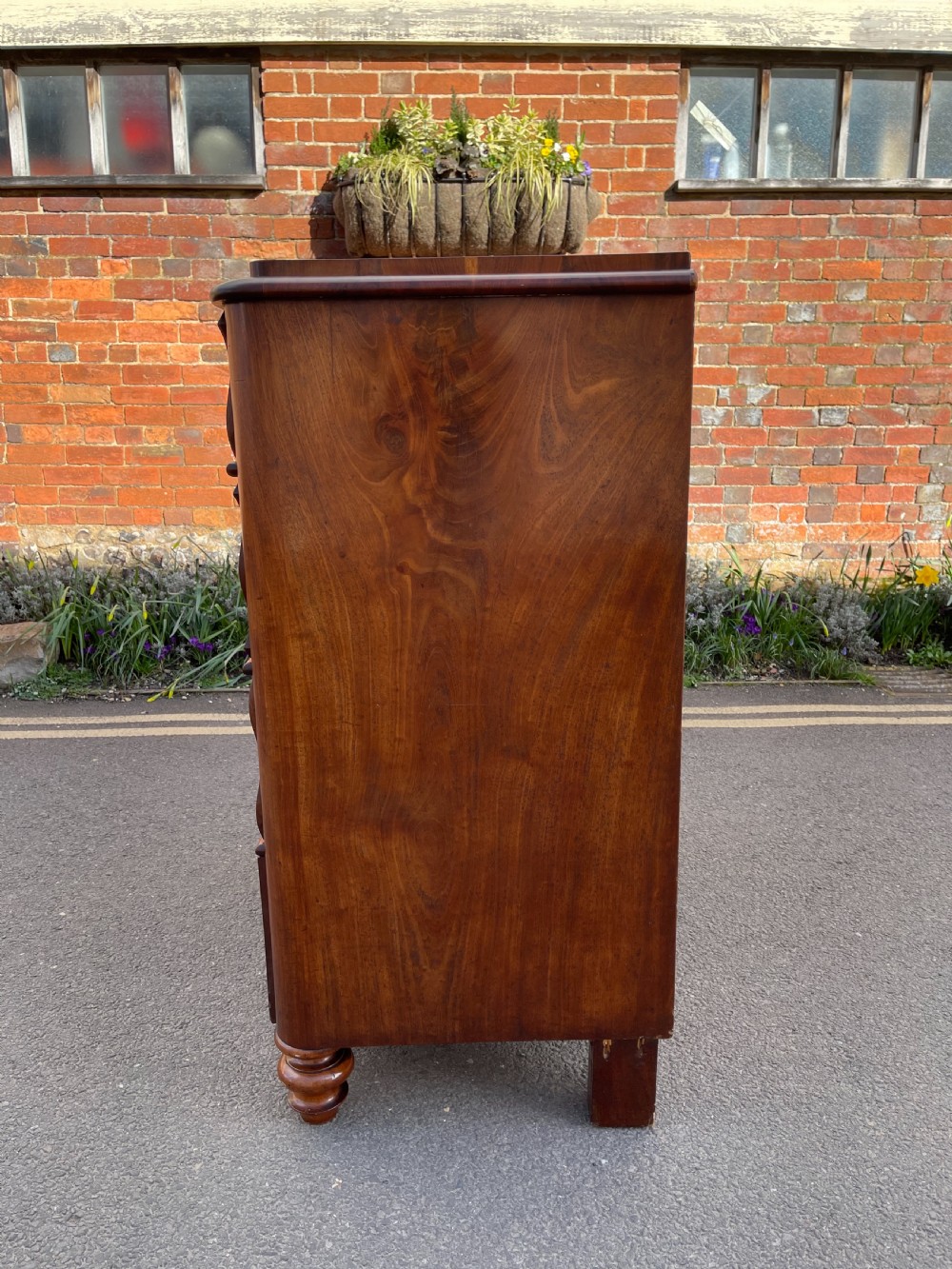 Continental Mahogany chest  View III